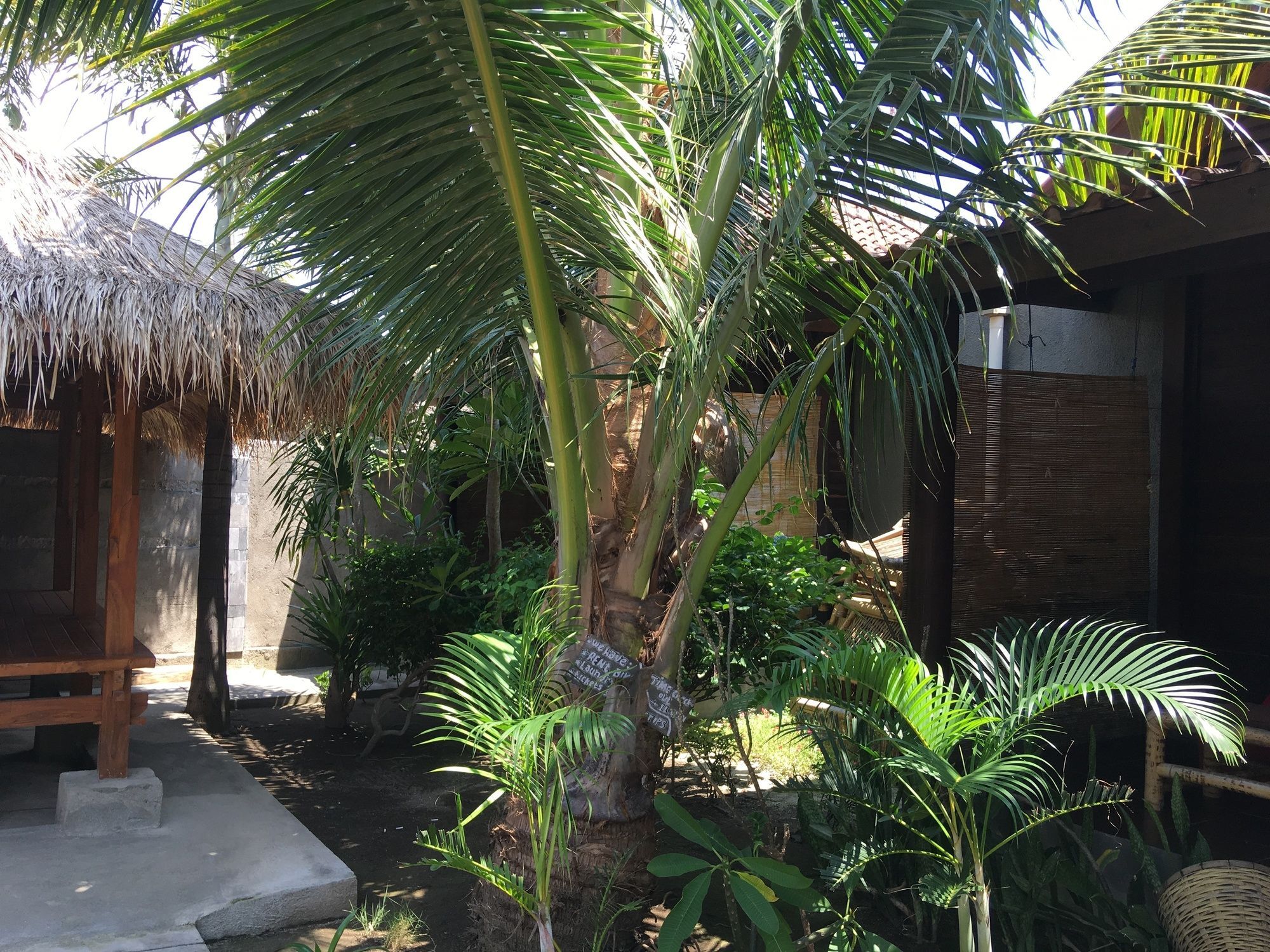 Alexyane Paradise Bungalow Gili Trawangan Exteriör bild